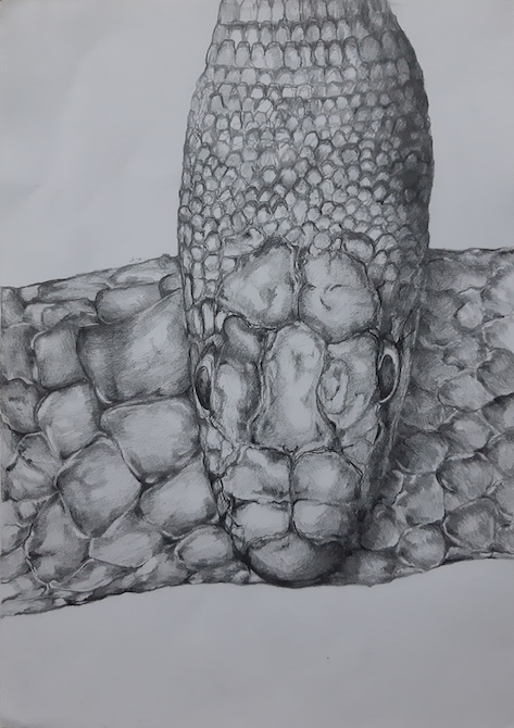 20240531 kaszpi, ceruza, papír, 210×297 mm, 2024